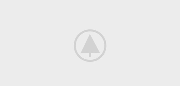 wood-gallery-placeholder-4 wood-gallery-placeholder-4