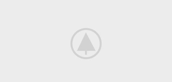 wood-portfolio-placeholder wood-portfolio-placeholder